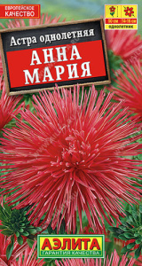 Астра Анна Мария купить