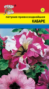 Петуния Кабаре  купить