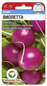 Редис Виолетта  купить
