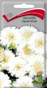 Василек Карлик белый  купить