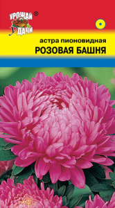 Астра Башня Розовая пионовидная купить