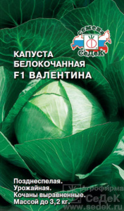 Капуста Валентина  F1  купить