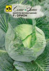 Капуста Орион F1 купить