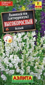 Львиный зев Высокорослый белый купить