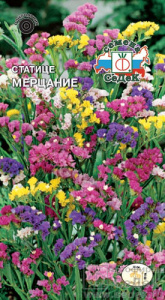 Статице Мерцание  купить