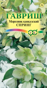 Морозник Спринг лимонно-зеленый восточный купить