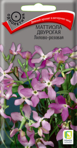 Маттиола двурогая Лилово-розовая  купить