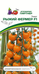 Томат Рыжий фермер купить
