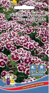 Гвоздика турецкая Двухцветная купить