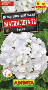 Пеларгония Магия лета белая купить