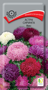 Астра Сиринга Микс купить
