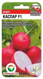 Редис Каспар F1 Сингента купить