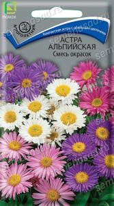 Астра альпийская, смесь  купить