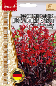 Лобелия Queen Victoria Scarlet многолетняя купить