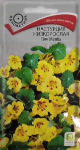Настурция низкорослая Пич Мелба купить