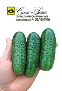 Огурец Зеленика F1 купить
