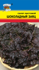 Салат Шоколадный заяц  купить