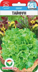 Салат Тайфун купить