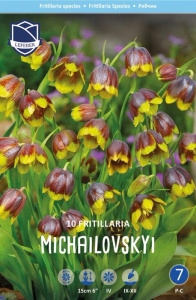 Рябчик Михайловский /10шт купить