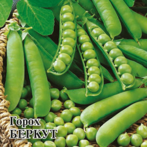 Горох Беркут 50г Проф купить