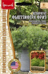 Аспарагус Фьюззифёрн Фриз купить