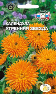 Календула Утренняя звезда купить