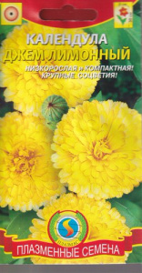 Календула Джем Лимонный  купить