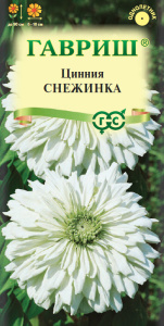 Цинния Снежинка  купить