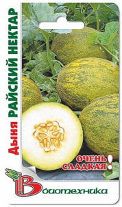 Дыня Райский нектар  купить