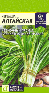 Черемша Алтайская купить