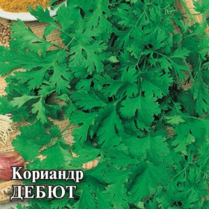 Кориандр Дебют 25г ПРОФ купить