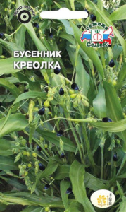 Бусенник Креолка купить