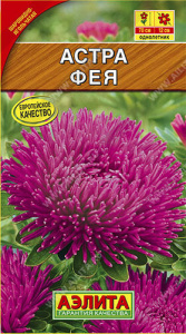 Астра Фея шаровидно-игольчатая  купить