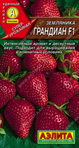 Земляника Грандиан F1 ремонтантная крупноплодная купить