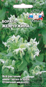 Бораго огуречная трава Жемчужина купить