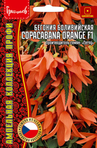 Бегония Копакабана F1 Орандж амп. болив. купить