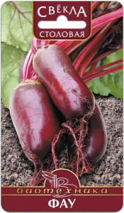 Свекла Фау  купить