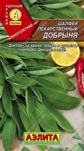 Шалфей Добрыня лекарственный  купить