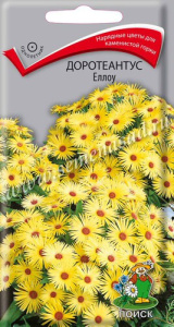 Доротеантус Еллоу купить