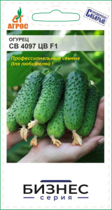 Огурец СВ 4097 ЦВ F1 100шт Бизнес серия  купить