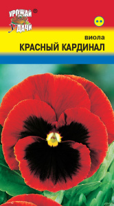 Виола Красный кардинал  купить