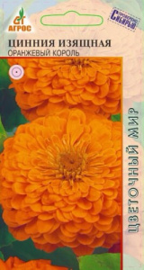 Цинния Изящная Оранжевый Король  купить