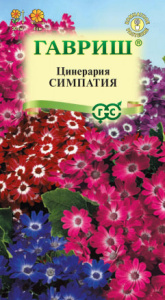 Цинерария Симпатия 8шт купить