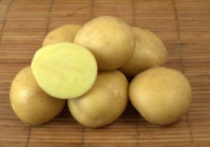 Картофель семенной Метеор (первая репродукция) 2кг купить