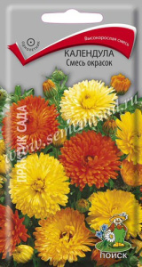 Календула Смесь окрасок купить