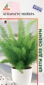 Аспарагус Мейера 3шт купить