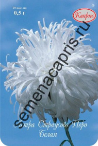 Астра Страусово Перо Белая (Примадонна) 1г купить