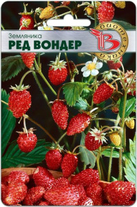 Земляника Ред Вондер  купить