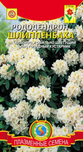 Рододендрон Шлиппенбаха  купить
