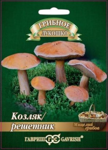 Козляк Решетник на зерновом субстрате  купить